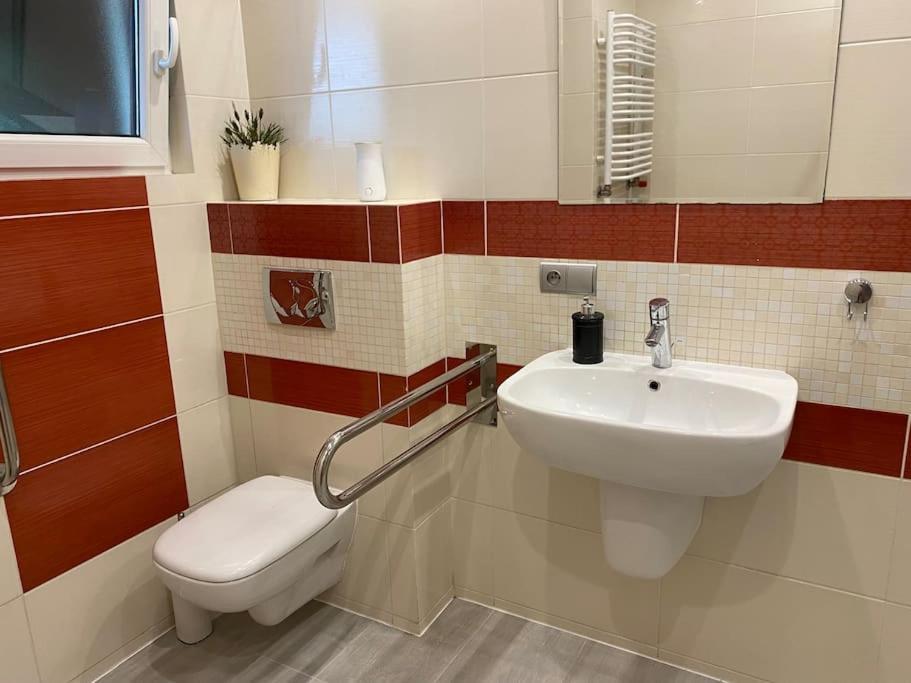 4 Bedroom Family House With Access To A Hot Tub Goczałkowice-Zdrój Exterior foto