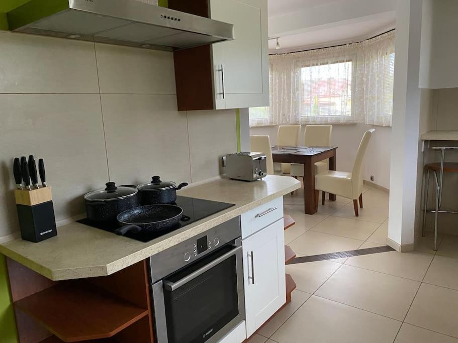 4 Bedroom Family House With Access To A Hot Tub Goczałkowice-Zdrój Exterior foto